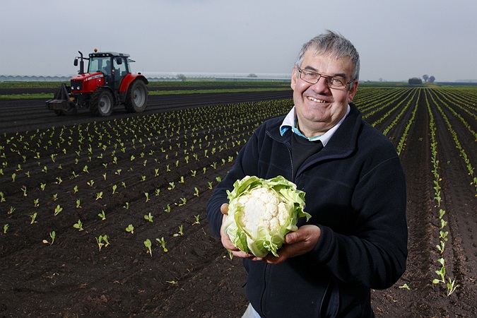 Commercial Photographer, cauliflower harvest, farming, farmer portrait, UK